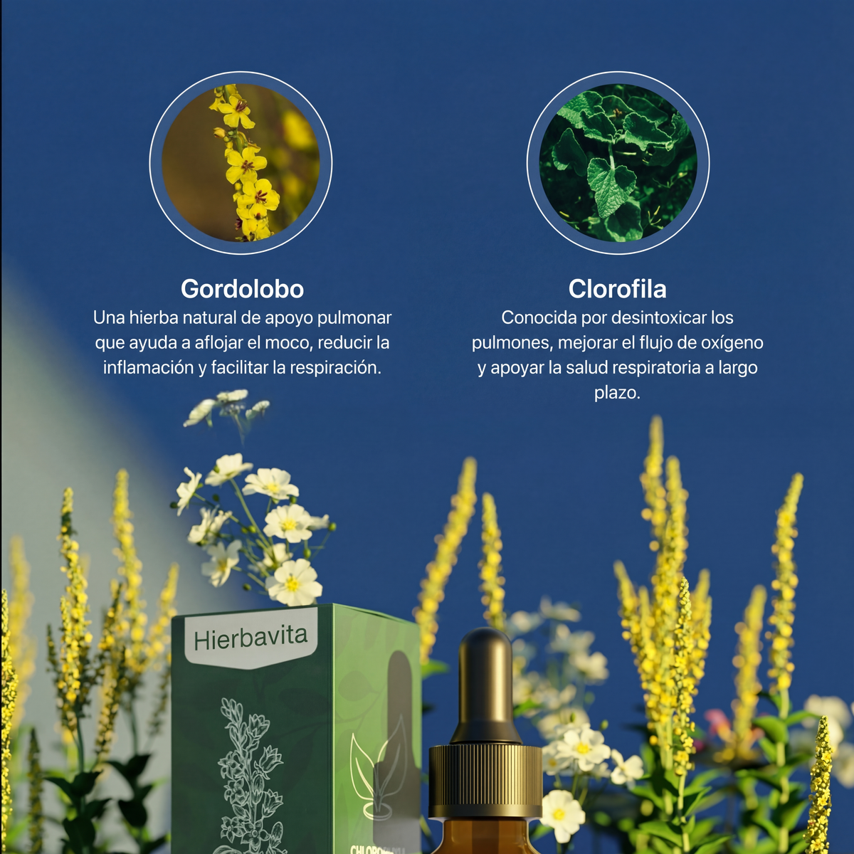 Hierbavita gotas pulmonares de gordolobo + clorofila